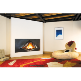 Камин дровяной Focus Omegafocus